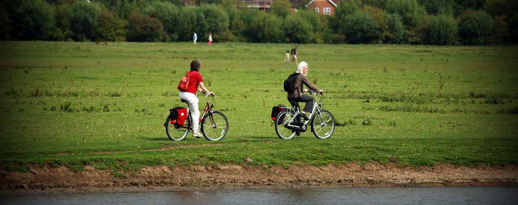 Cyclists in meadow, Photo: Andre Neves